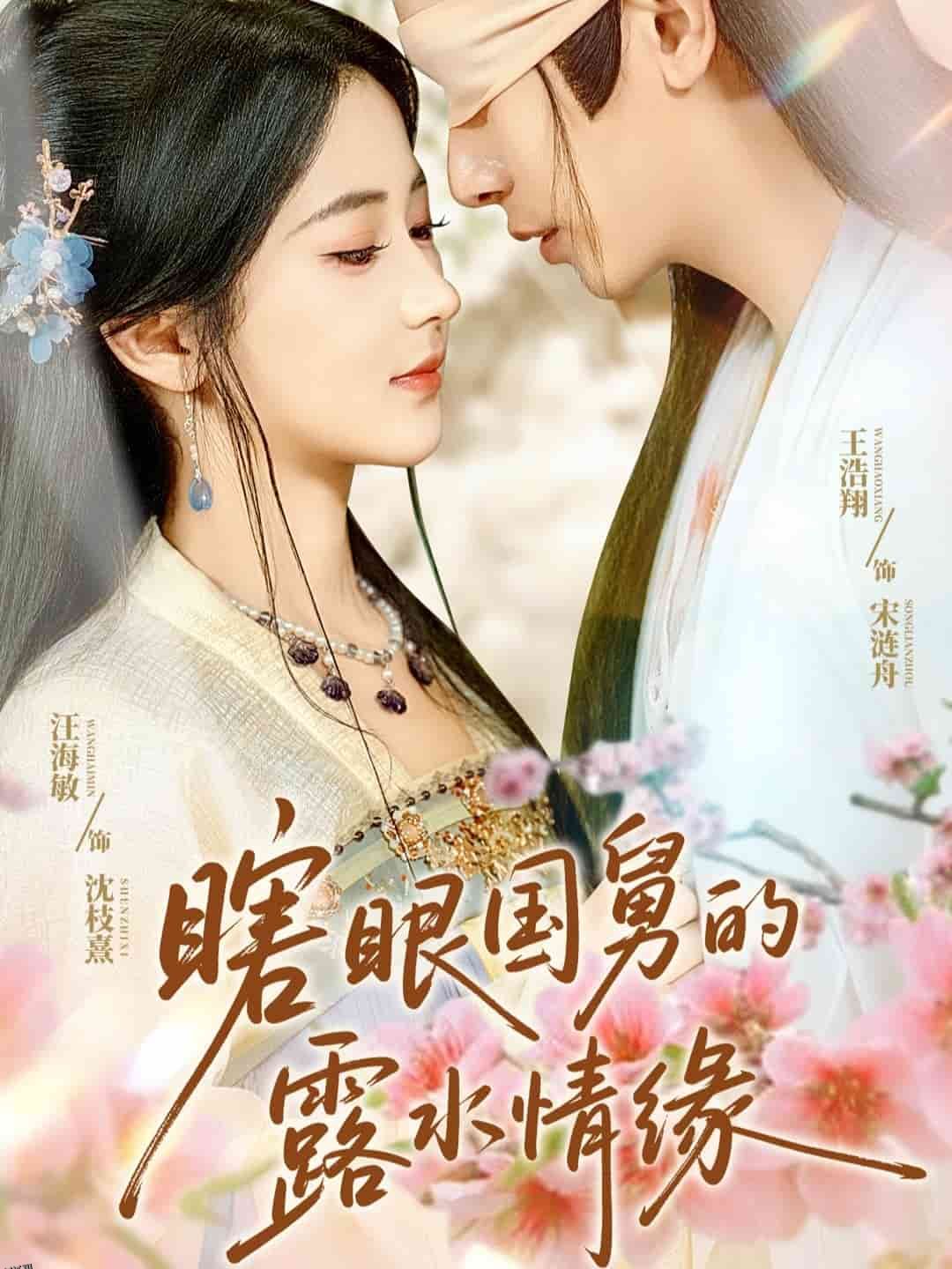 瞎眼国舅的露水情缘 海报