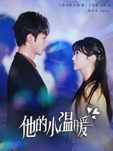 他的小温暖 海报