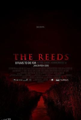 芦苇地[电影解说] 海报