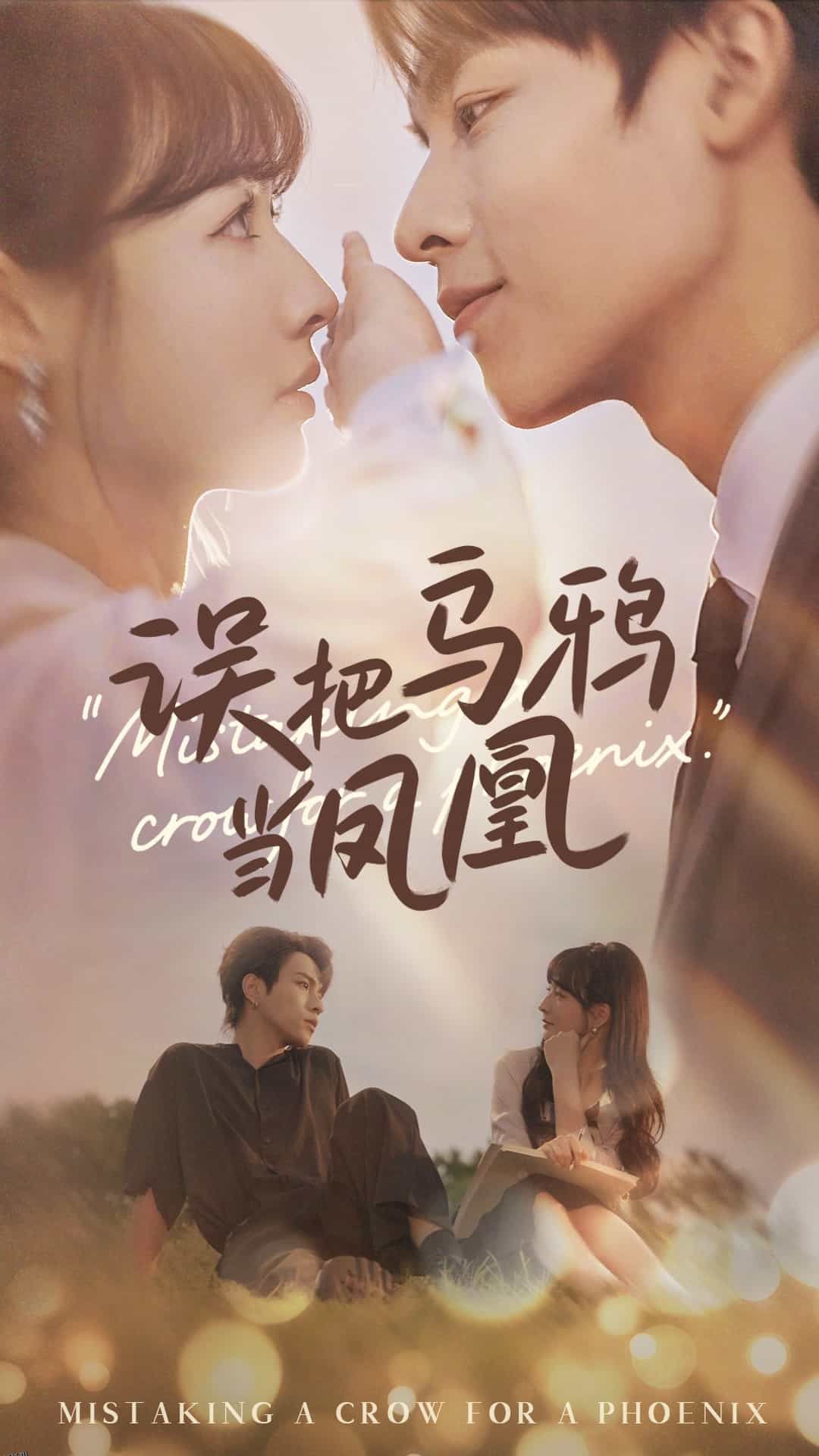 误把乌鸦当凤凰 海报