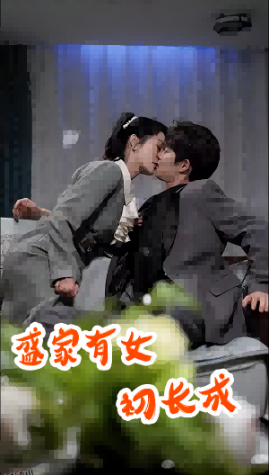 盛家有女初长成 海报