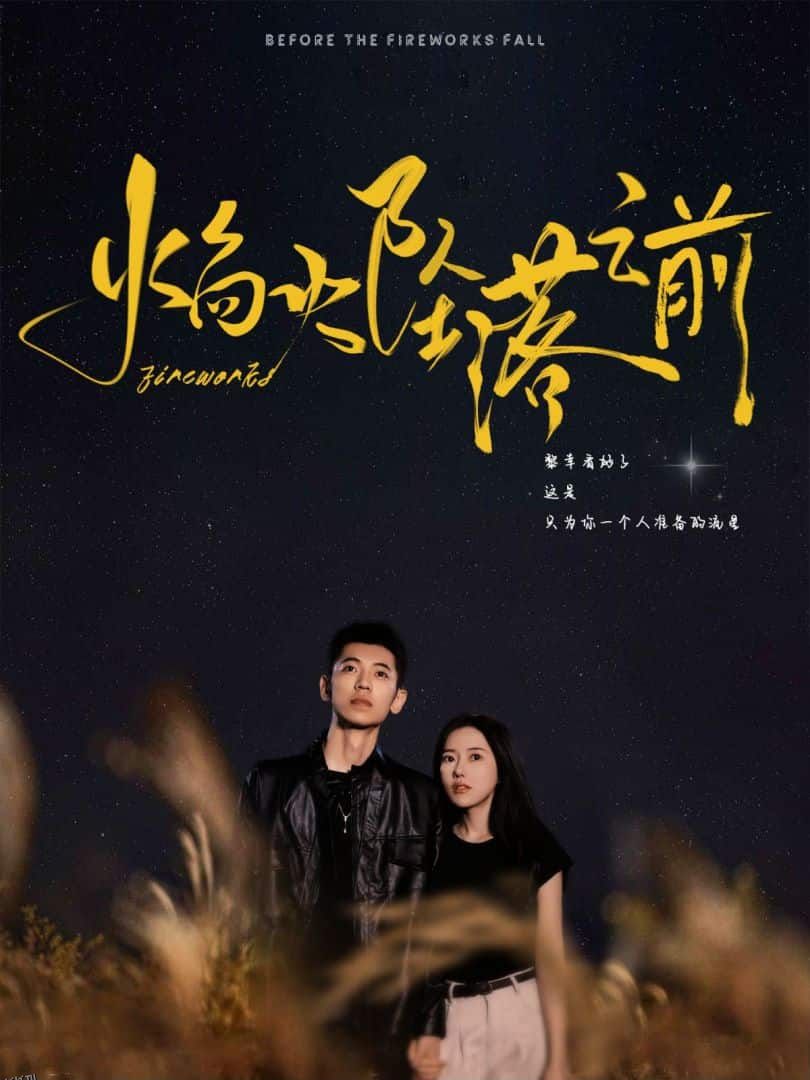 焰火坠落之前 海报