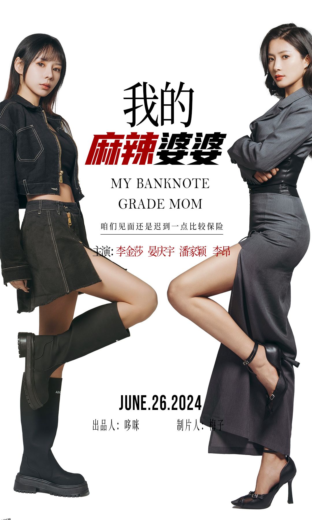 我的麻辣婆婆 海报