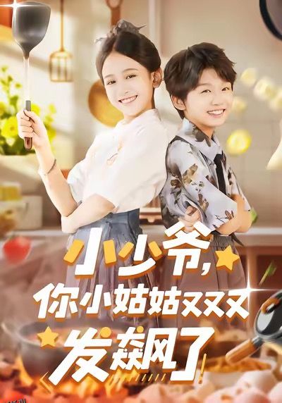 小少爷，你小姑姑又又又发飙了 海报