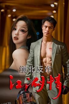 缅北反诈江湖情 海报