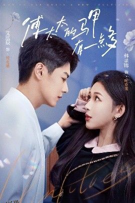 傅太太的马甲有一点多 海报