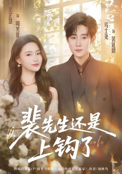 裴先生还是上钩了 海报