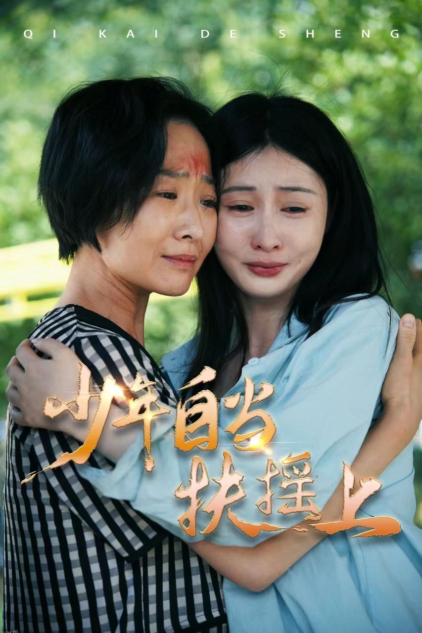 少年自当扶摇上 海报