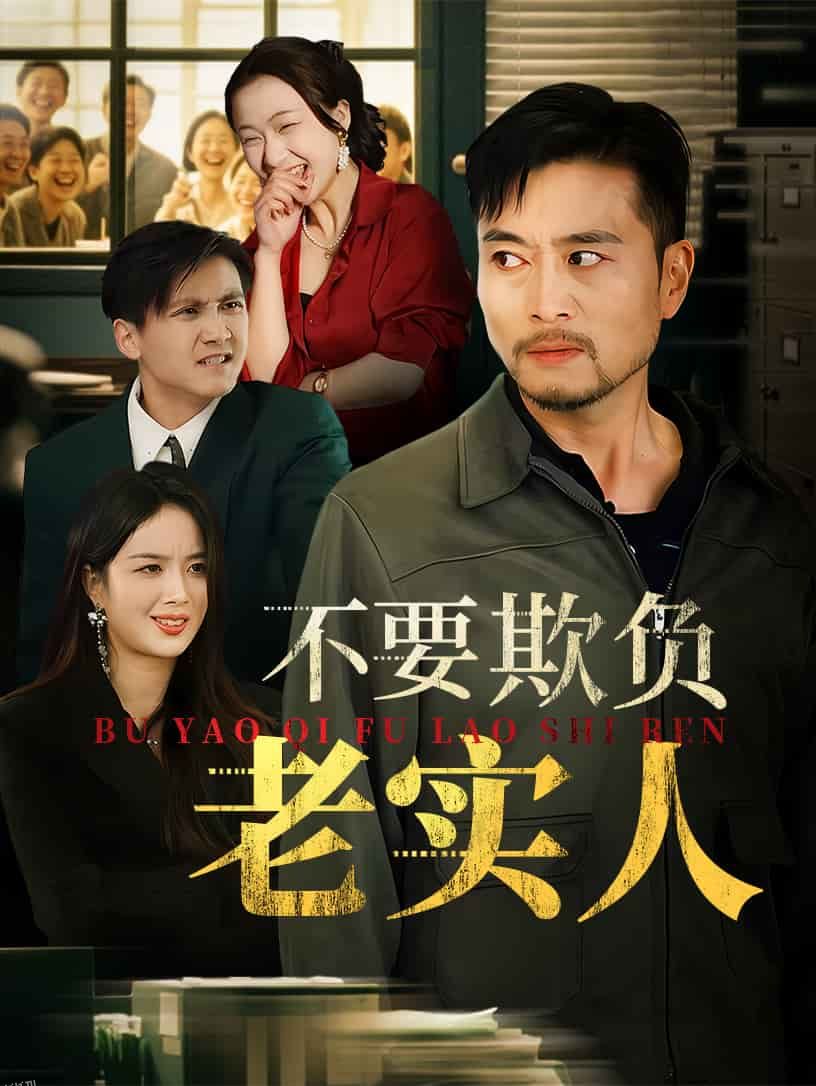 不要欺负老实人 海报