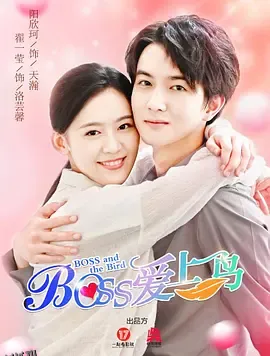 Boss爱上鸟 海报