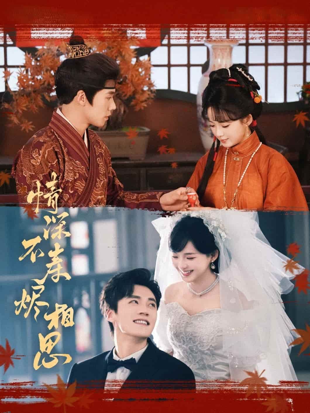 情深不寿烬相思 海报