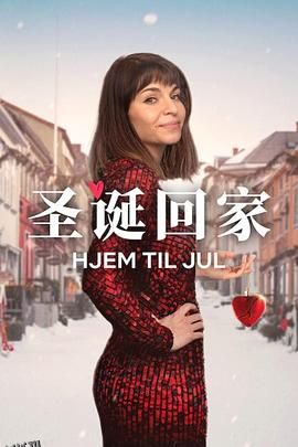 圣诞寻伴 第三季 海报