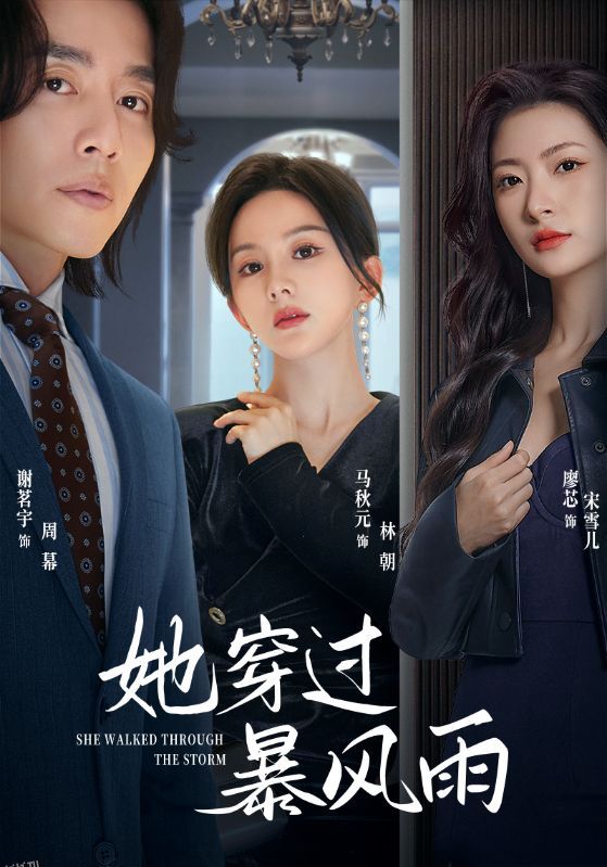 她穿过暴风雨 海报