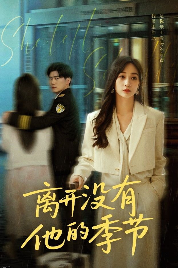 离开没有他的季节 海报