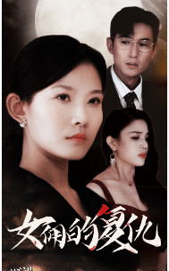 女佣的复仇 海报