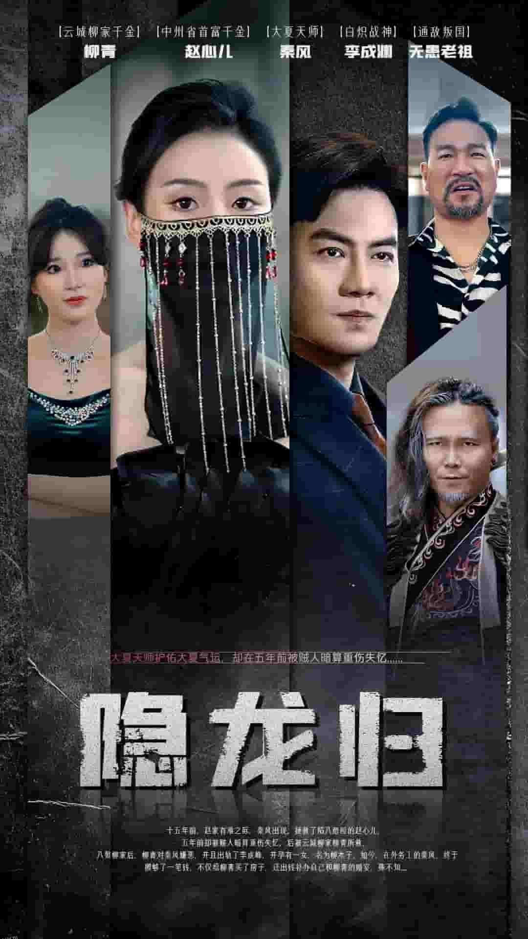 隐龙归 高清海报