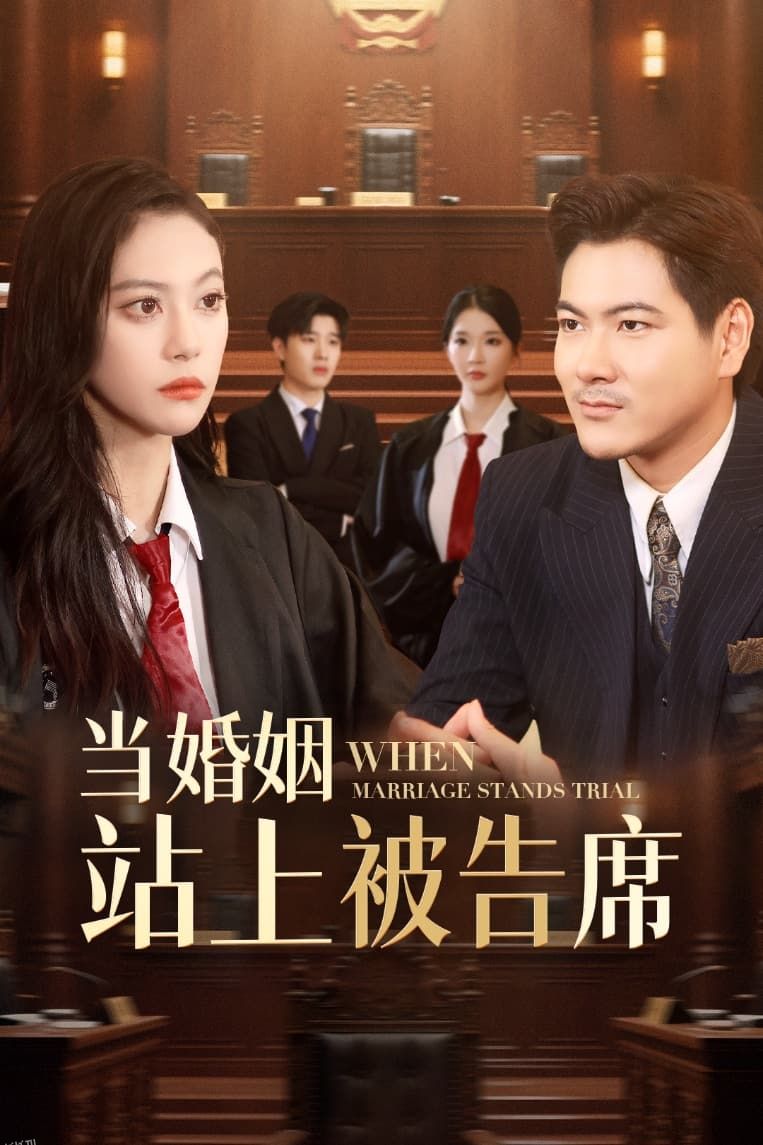 当婚姻站上被告席 海报