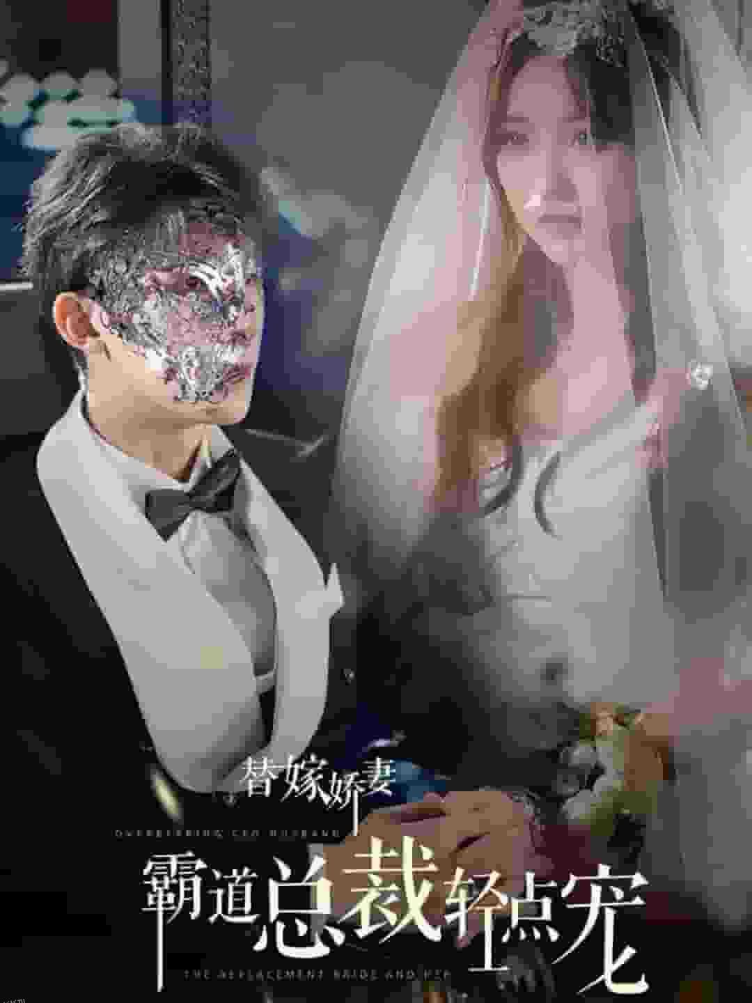 替嫁娇妻偏执总裁轻点宠 海报