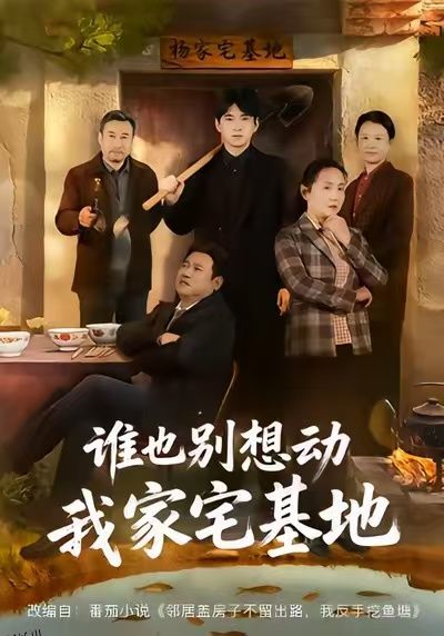 谁也别想动我家宅基地 海报