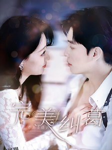 完美纠葛 高清海报