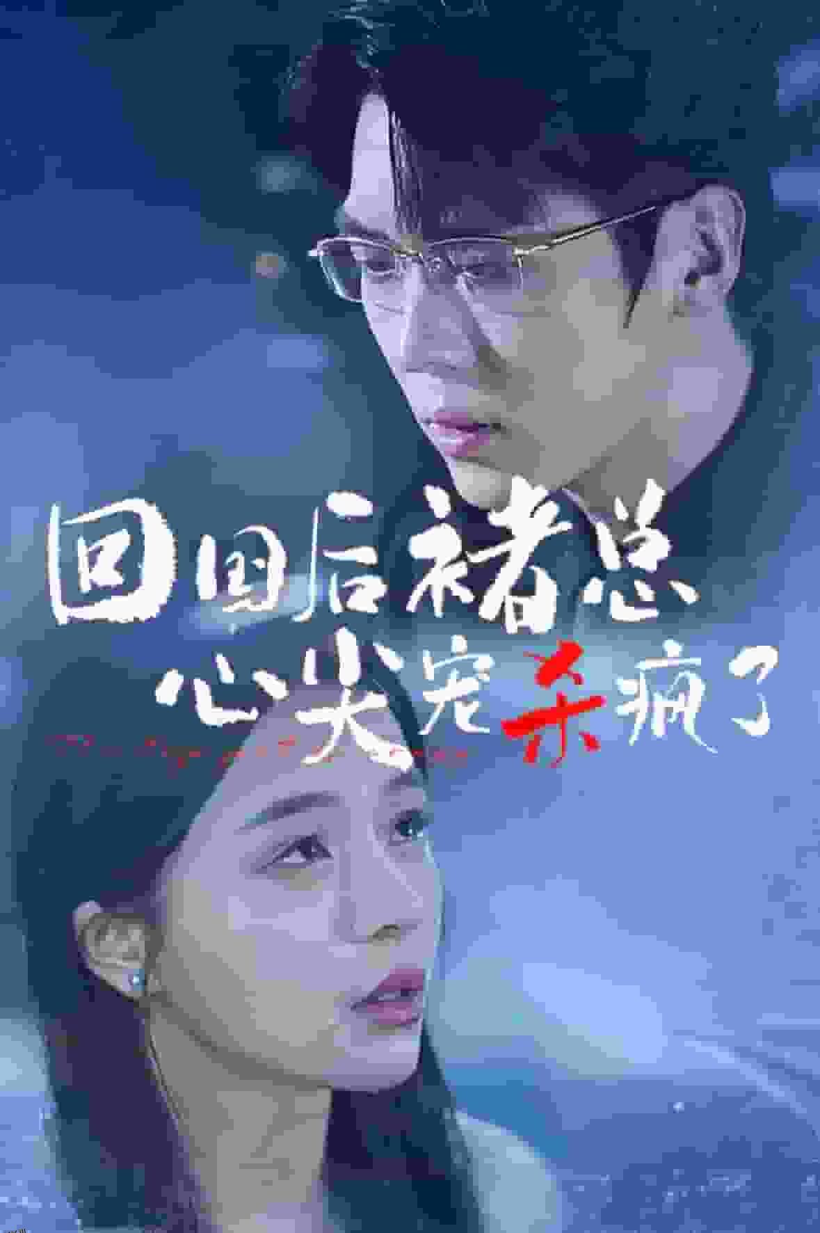 回国后褚总心尖宠杀疯了 海报