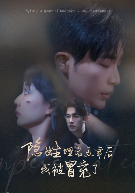 隐姓埋名五年后我被冒充了 海报