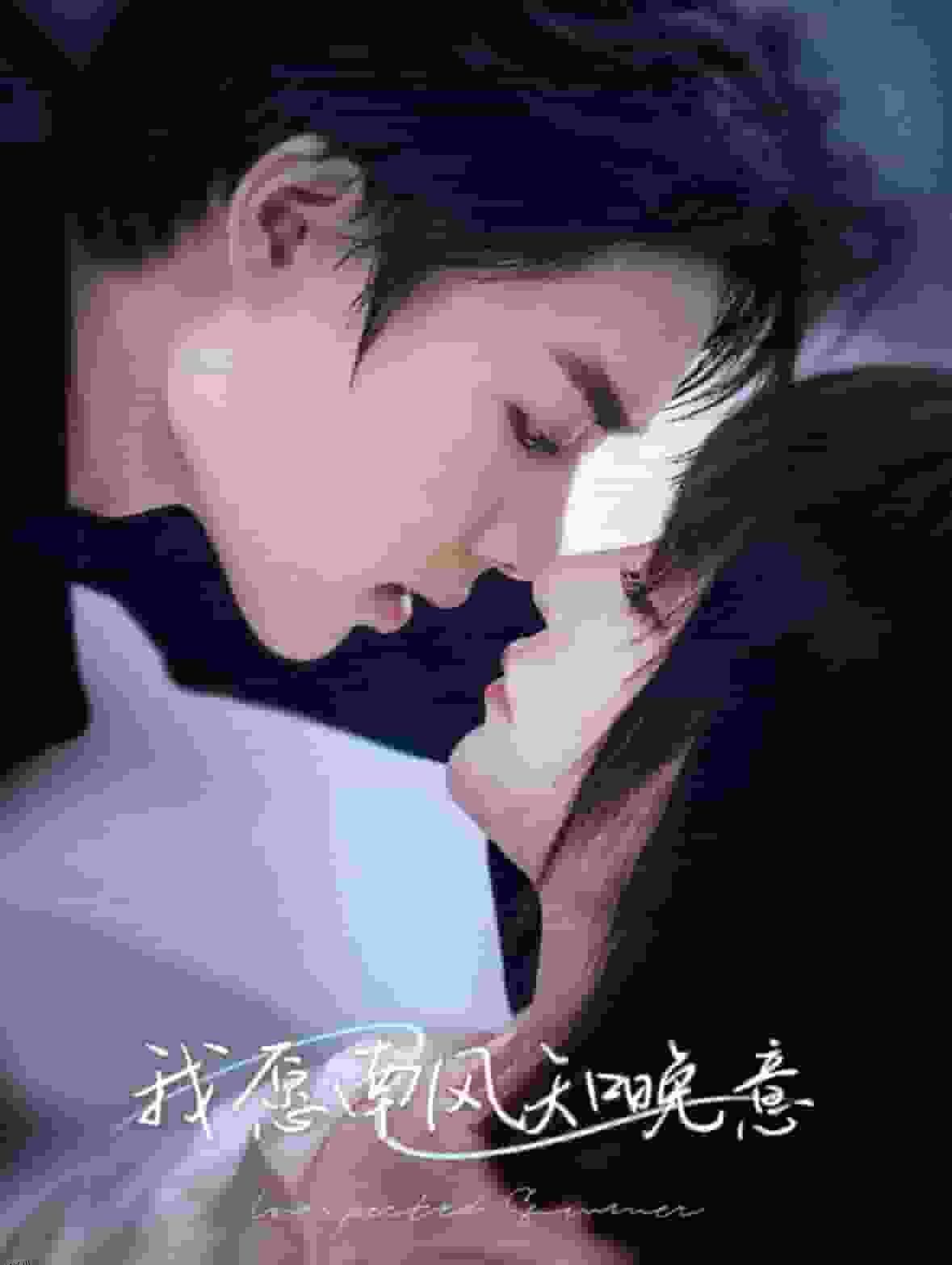 我愿南风知晚意 海报