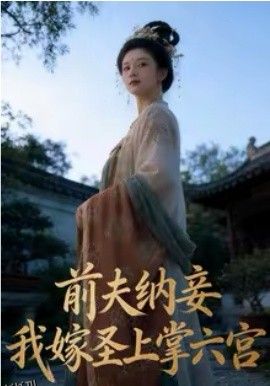 前夫纳妾，我嫁圣上掌六宫 高清海报