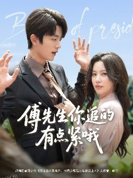 傅先生你追的有点紧哦 海报