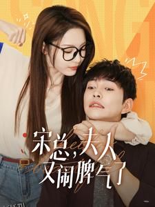 宋总，夫人又闹脾气了 海报