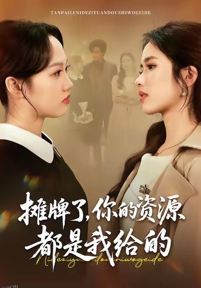 摊牌了，你的资源都是我给的 海报