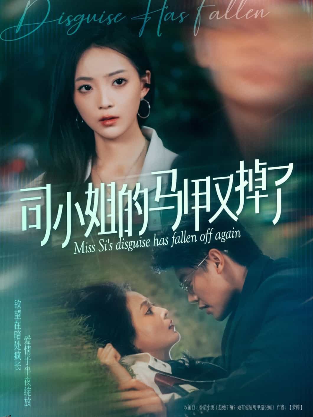 司小姐的马甲又掉了 海报