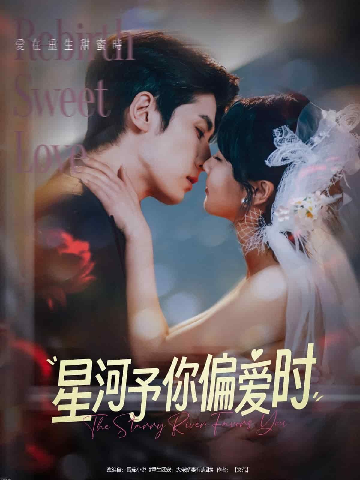 星河予你偏爱时 海报