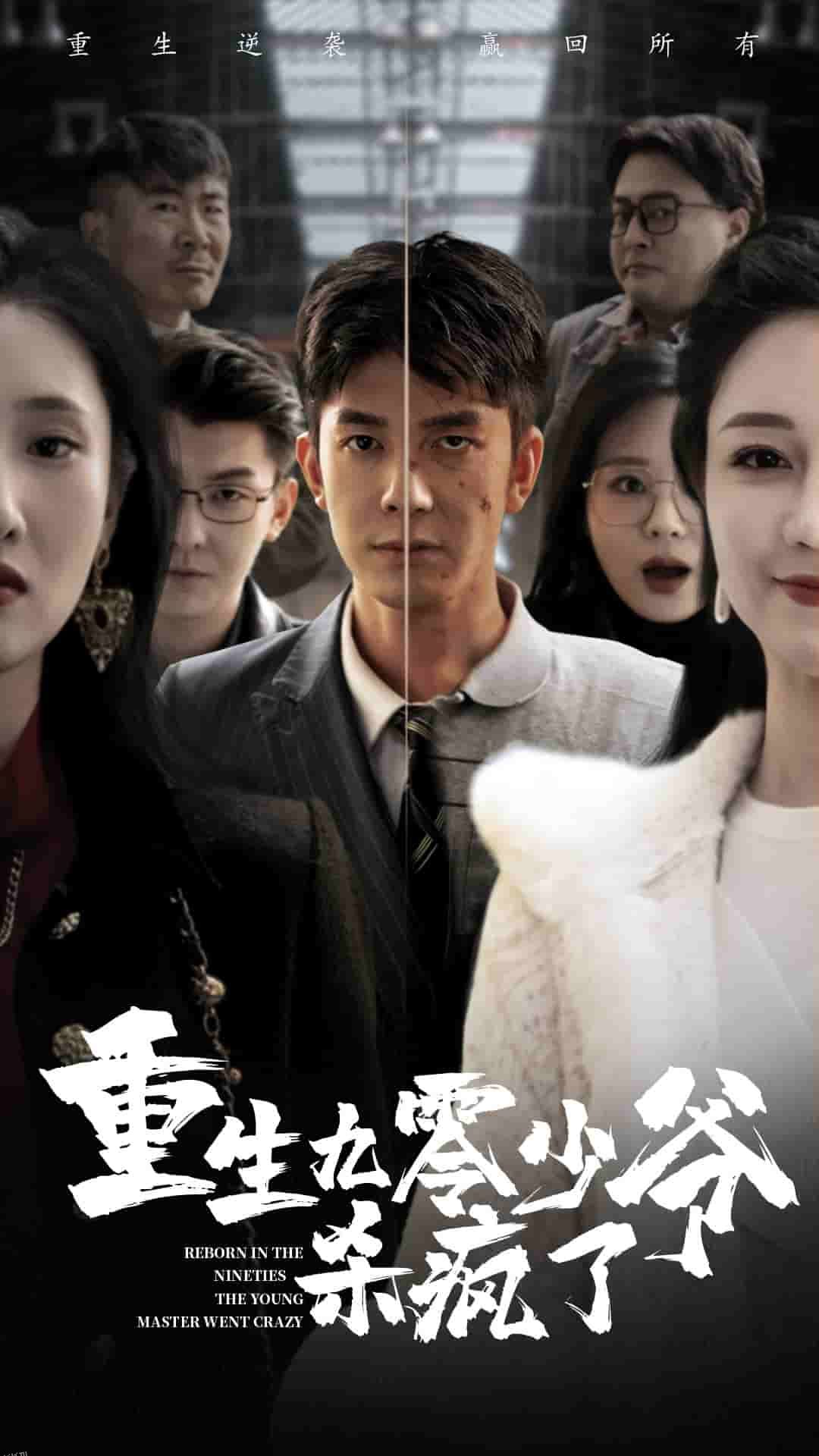 重生九零少爷杀疯了 海报