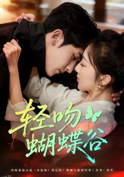 轻吻蝴蝶谷 海报