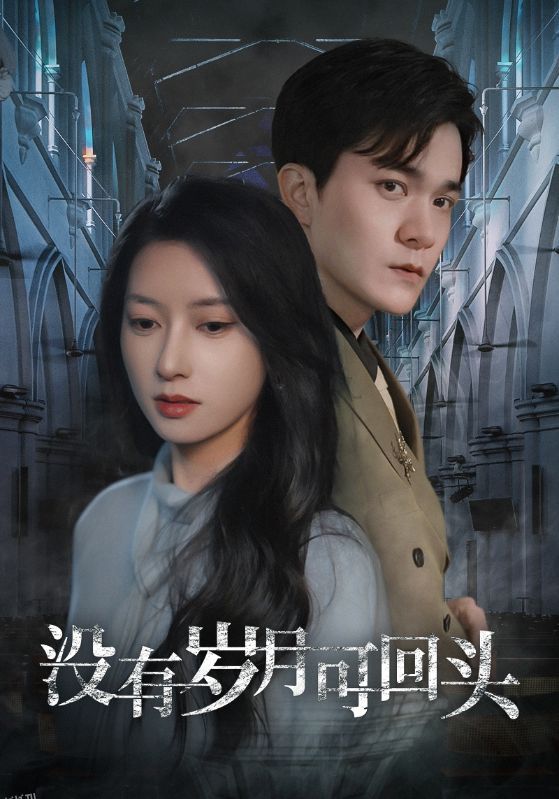 没有岁月可回头 海报