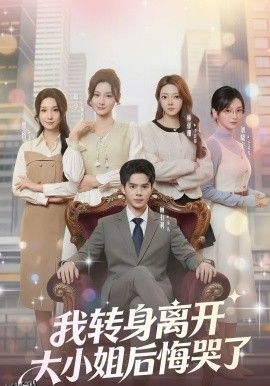 我转身离开，大小姐后悔哭了 海报