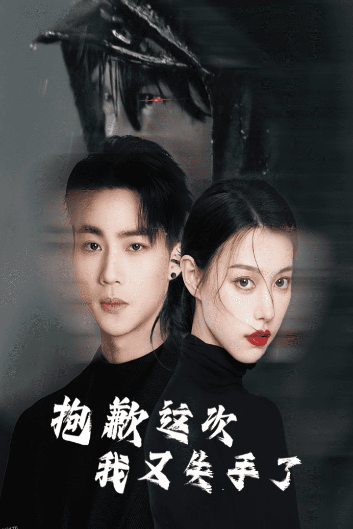 抱歉这次我又失手了 高清海报