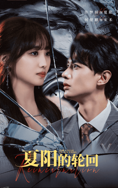 夏阳的轮回 海报
