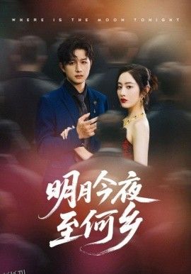 明月今夜至何乡 海报