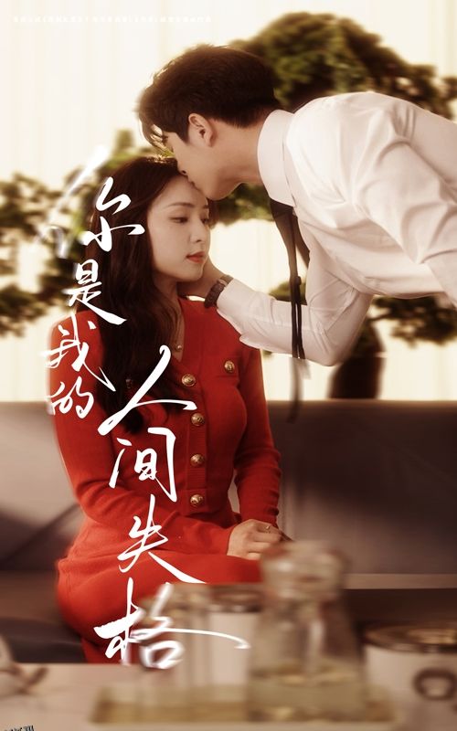 你是我的人间失格 海报