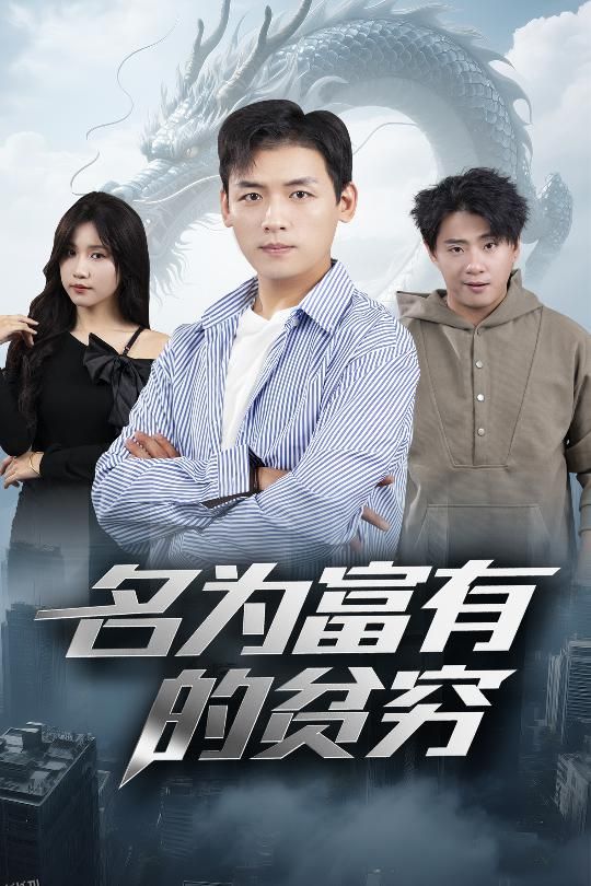 名为富有的贫穷 海报