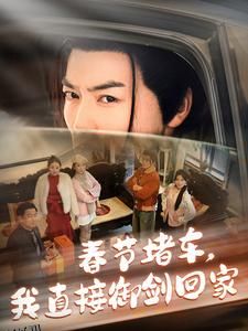 春节堵车我直接御剑飞行回家 海报