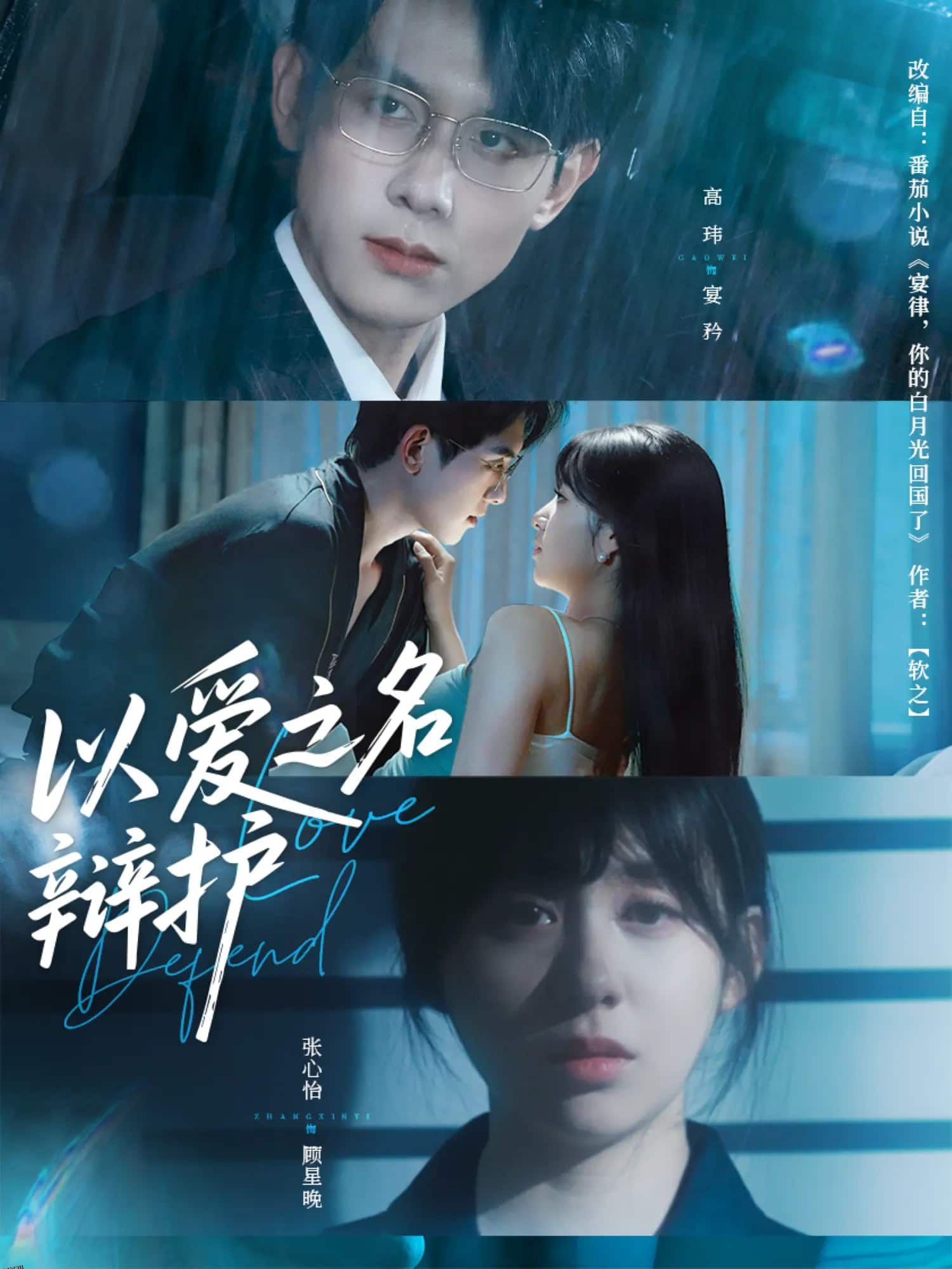 以爱之名辩护 海报