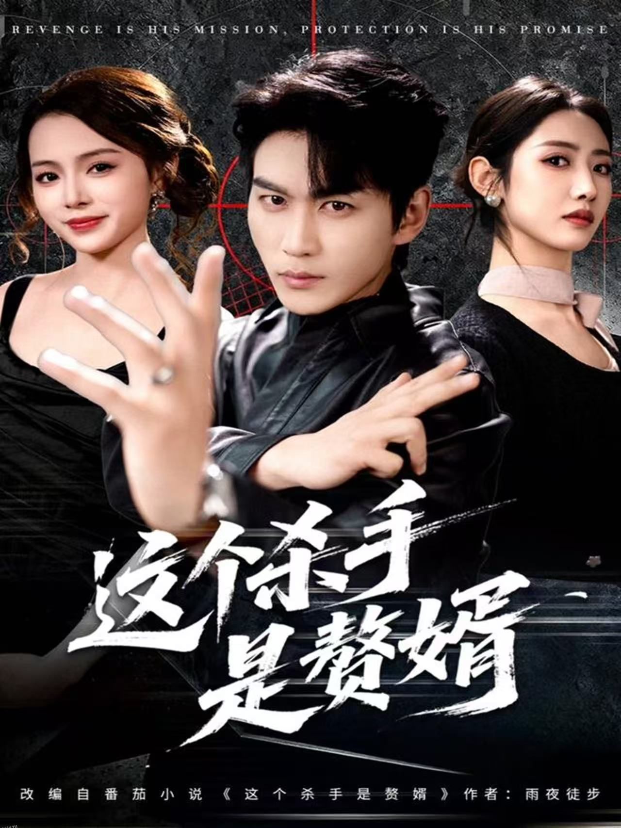 这个杀手是赘婿 海报