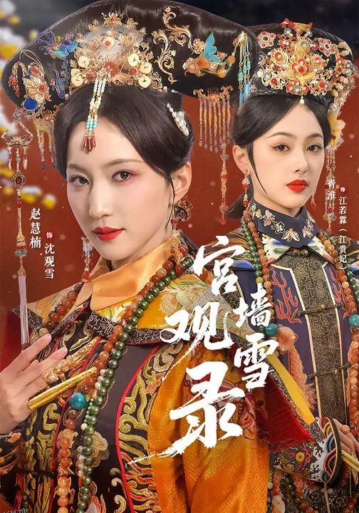 宫墙观雪录 海报