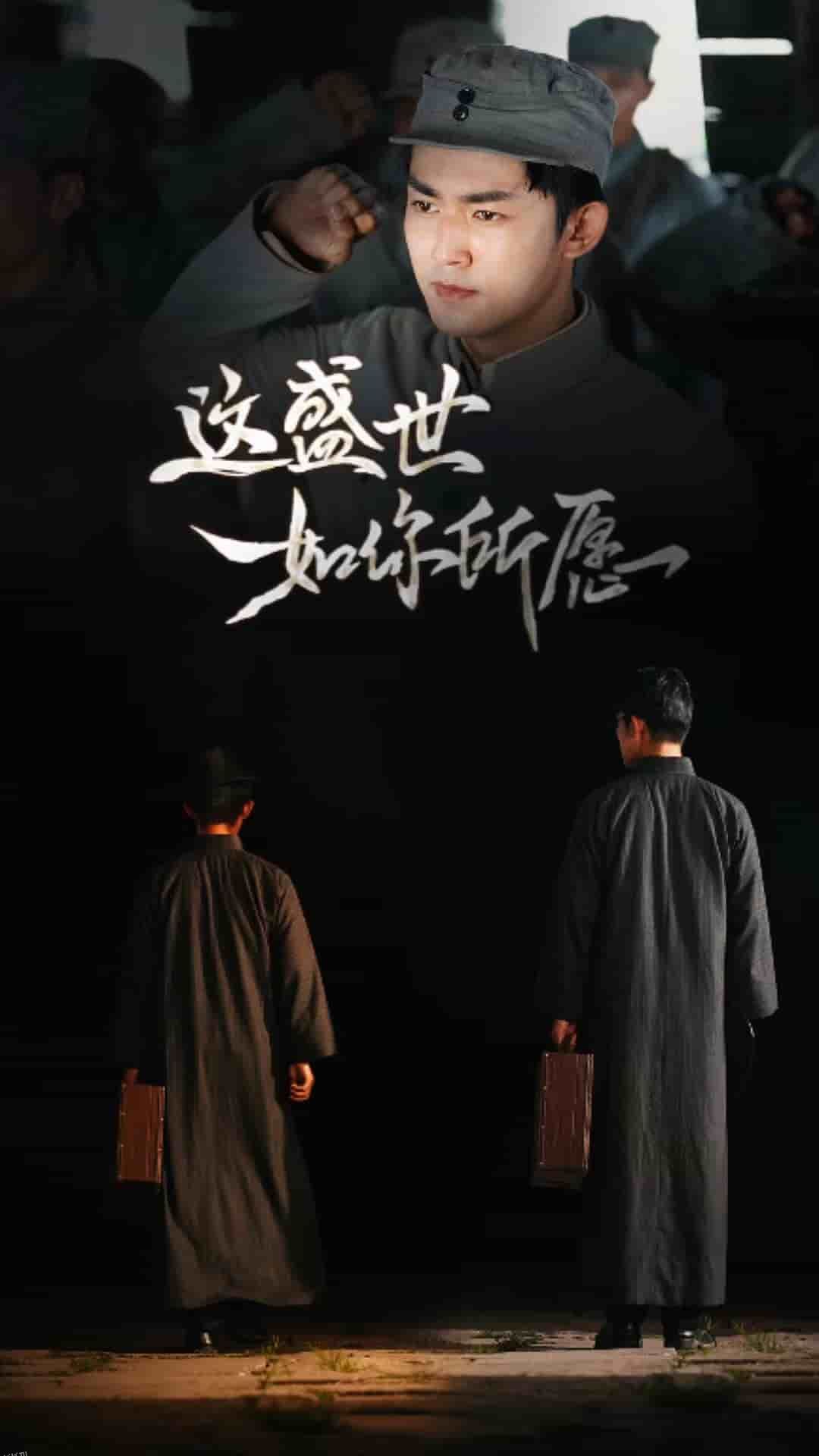 这盛世如你所愿 海报