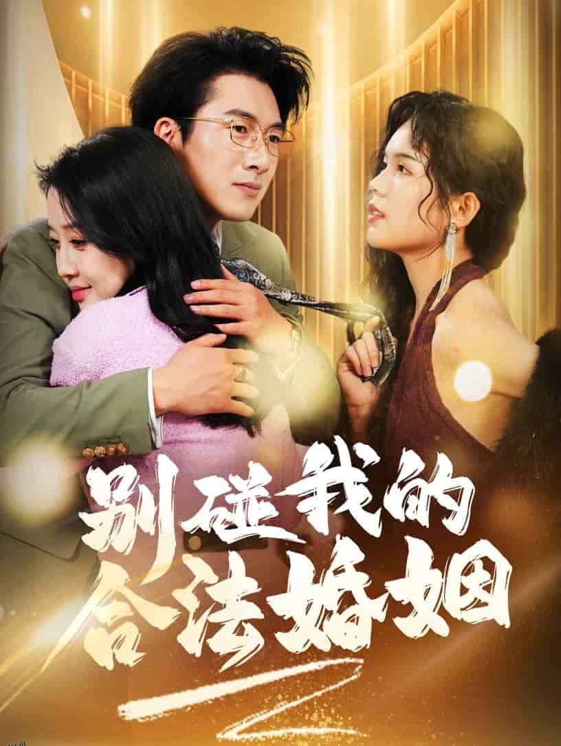 别碰我的合法婚姻 高清海报