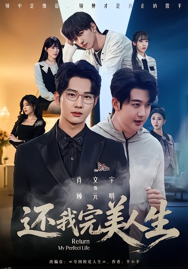 还我完美人生 海报
