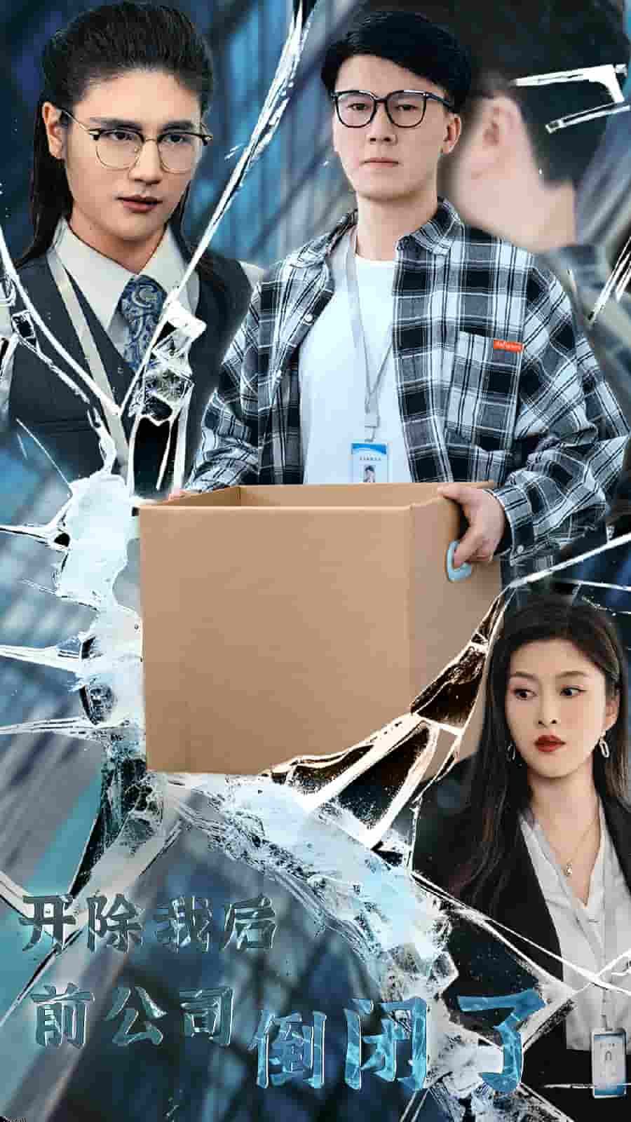 开除我后前公司倒闭了 海报